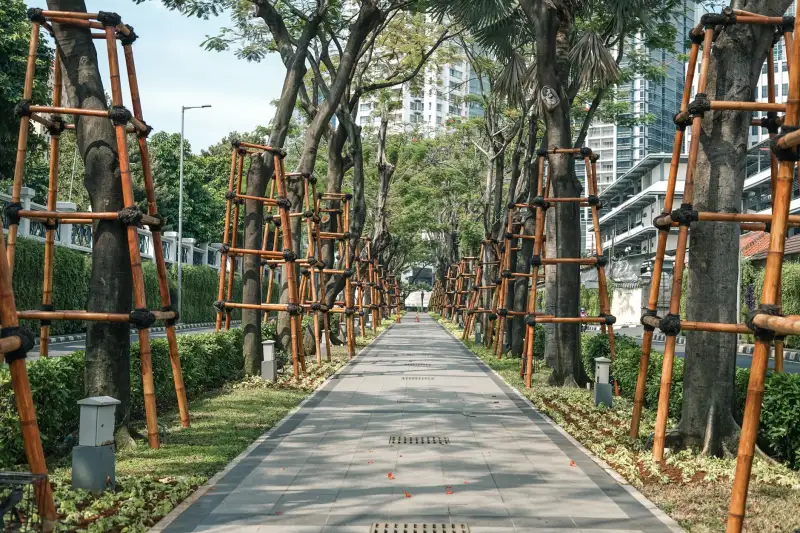 上海申江医院心脑血管专科诊疗方案设计与临床路径解析