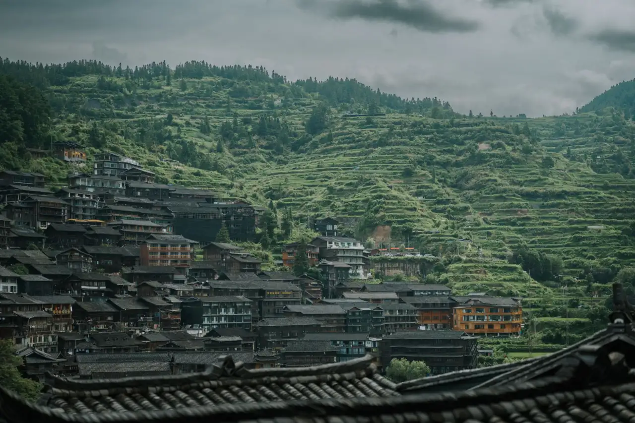 骨科与中医科联合诊疗方案设计：个性化康复路径对比