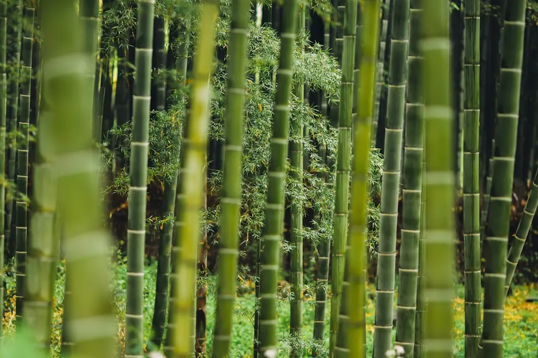 中医科与康复理疗协同治疗骨关节疾病的典型病例研究